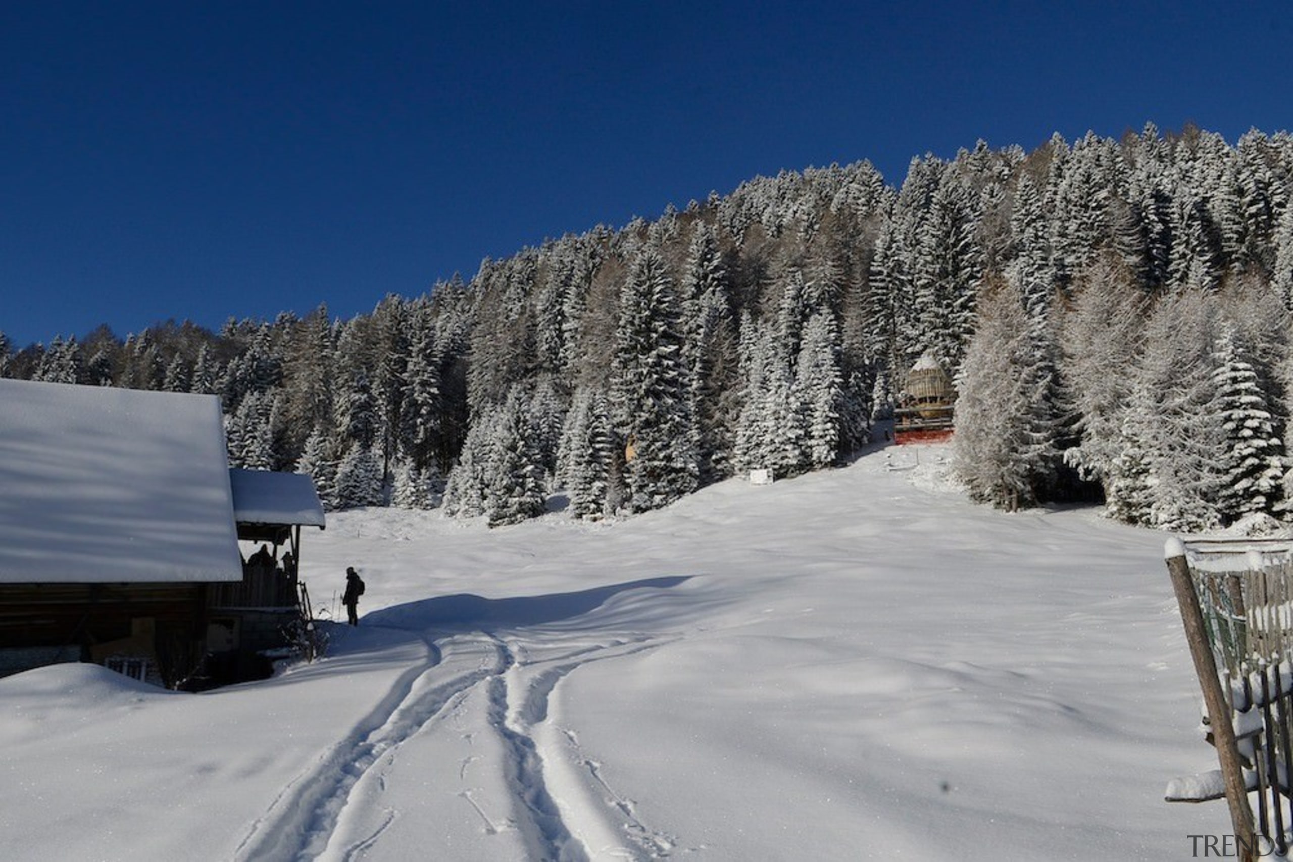 The treehouse blends into the treeline - The alps, freezing, frost, geological phenomenon, glacial landform, landscape, mountain, mountain pass, mountain range, mountainous landforms, piste, ridge, sky, snow, terrain, tree, wilderness, winter, winter sport, woody plant, gray, blue