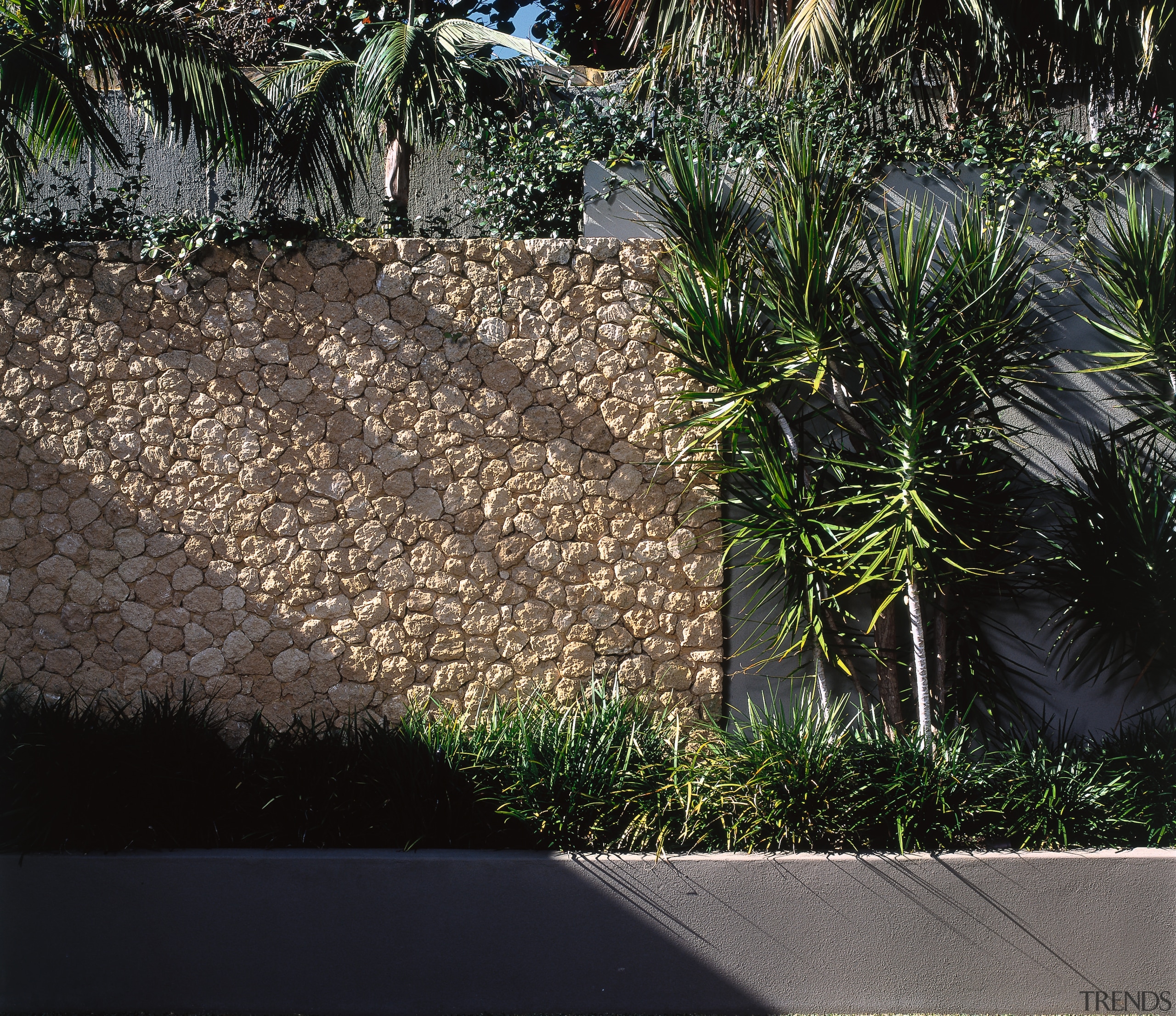 View of the limestone wall - View of arecales, grass, grass family, landscape, landscaping, palm tree, plant, walkway, black