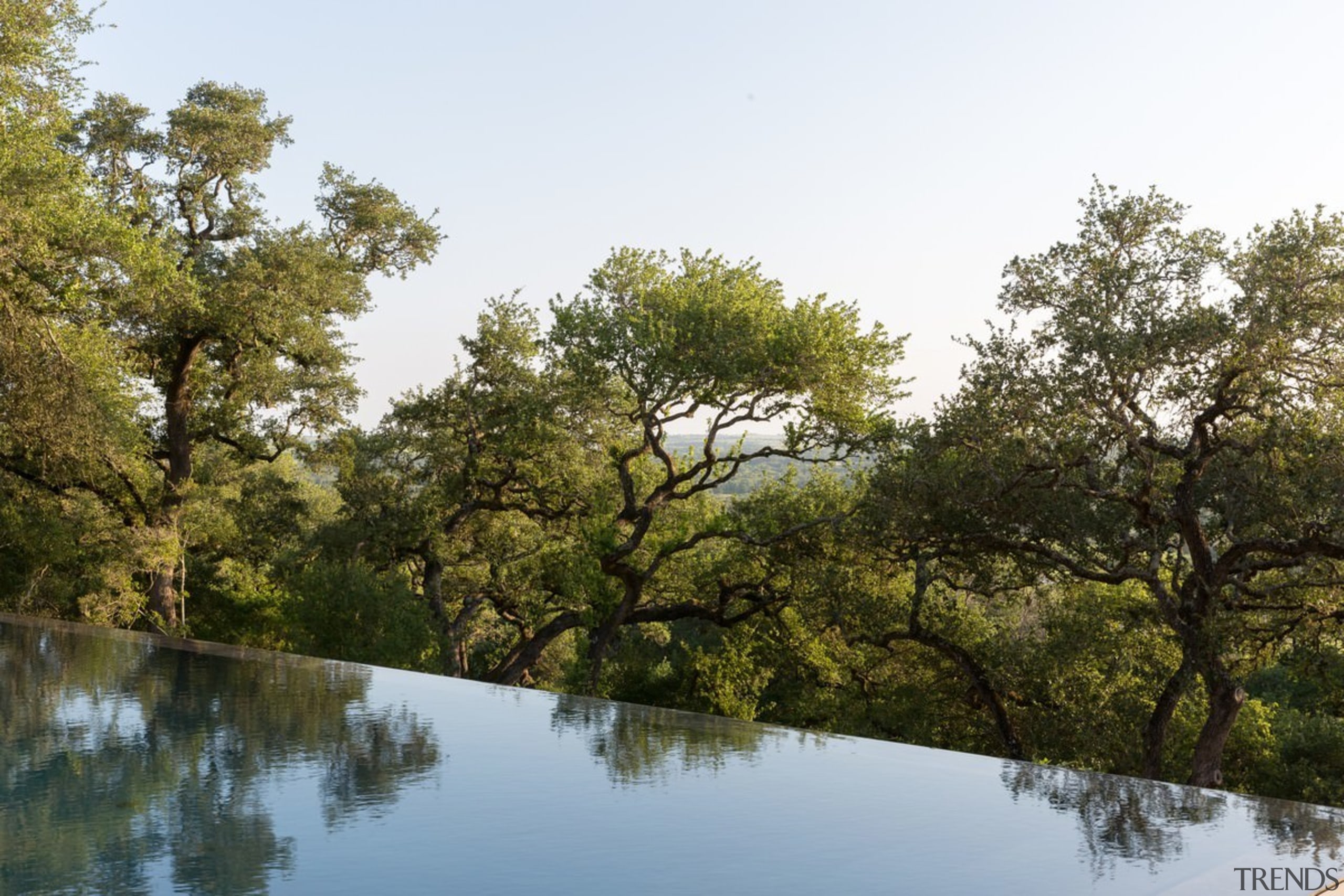 The infinity pool falls off the edge - bank, bayou, biome, branch, lake, leaf, nature, nature reserve, plant, pond, reflection, riparian forest, riparian zone, river, sky, tree, vegetation, water, waterway, wetland, brown, white