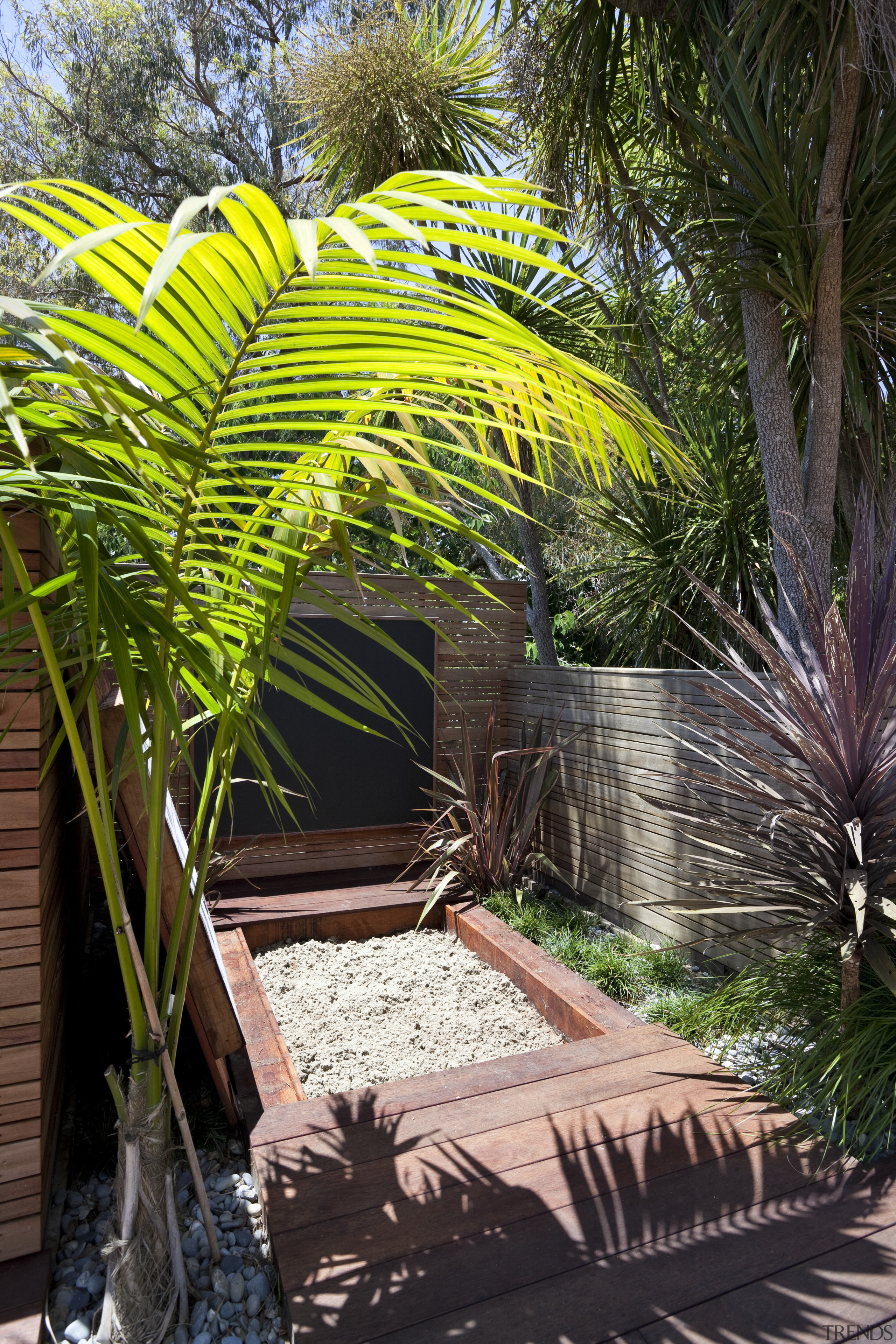 View of patio area with landscaping. - View arecales, outdoor structure, palm tree, plant, tree, black, brown