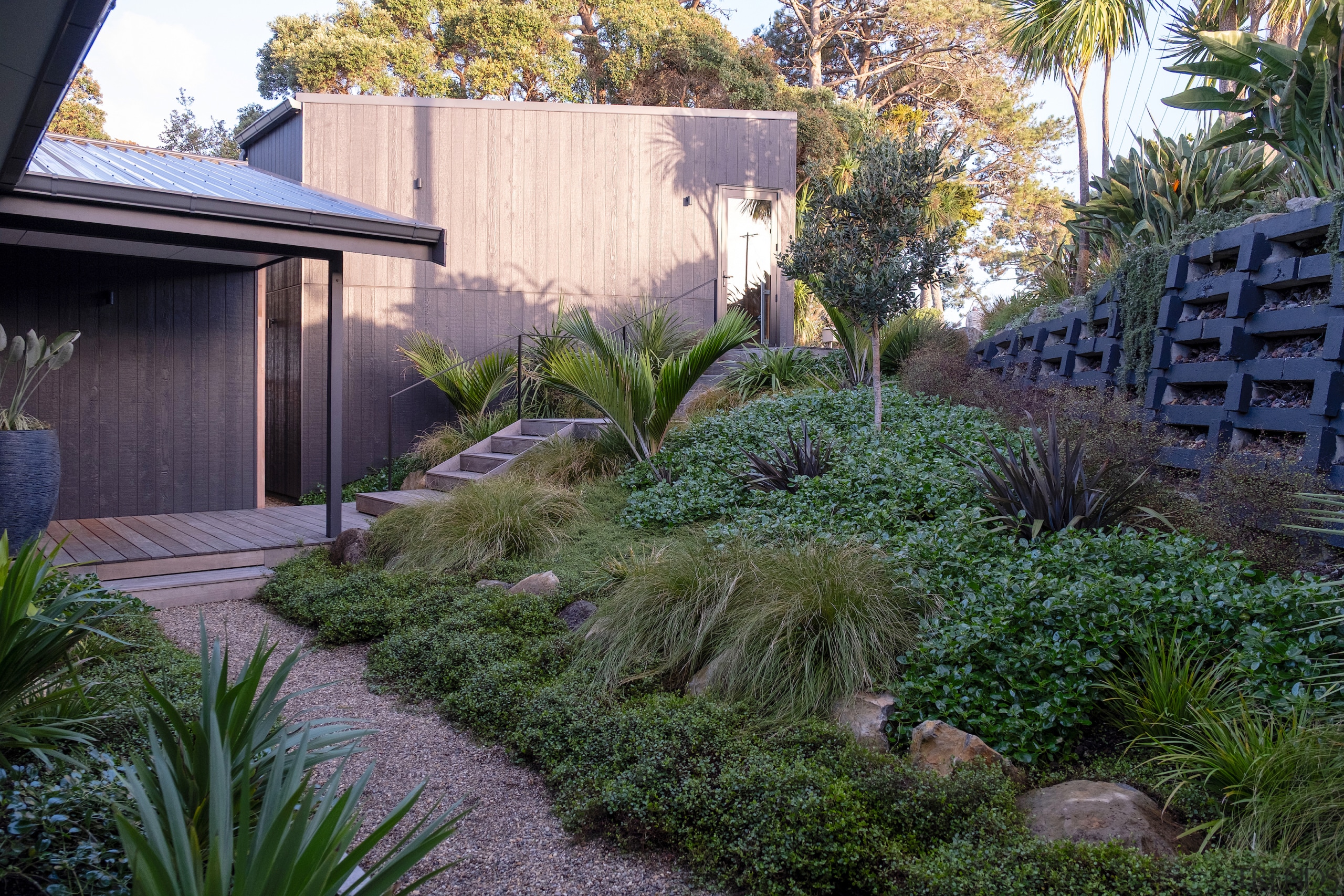 Over time, the dense native planting will continue 