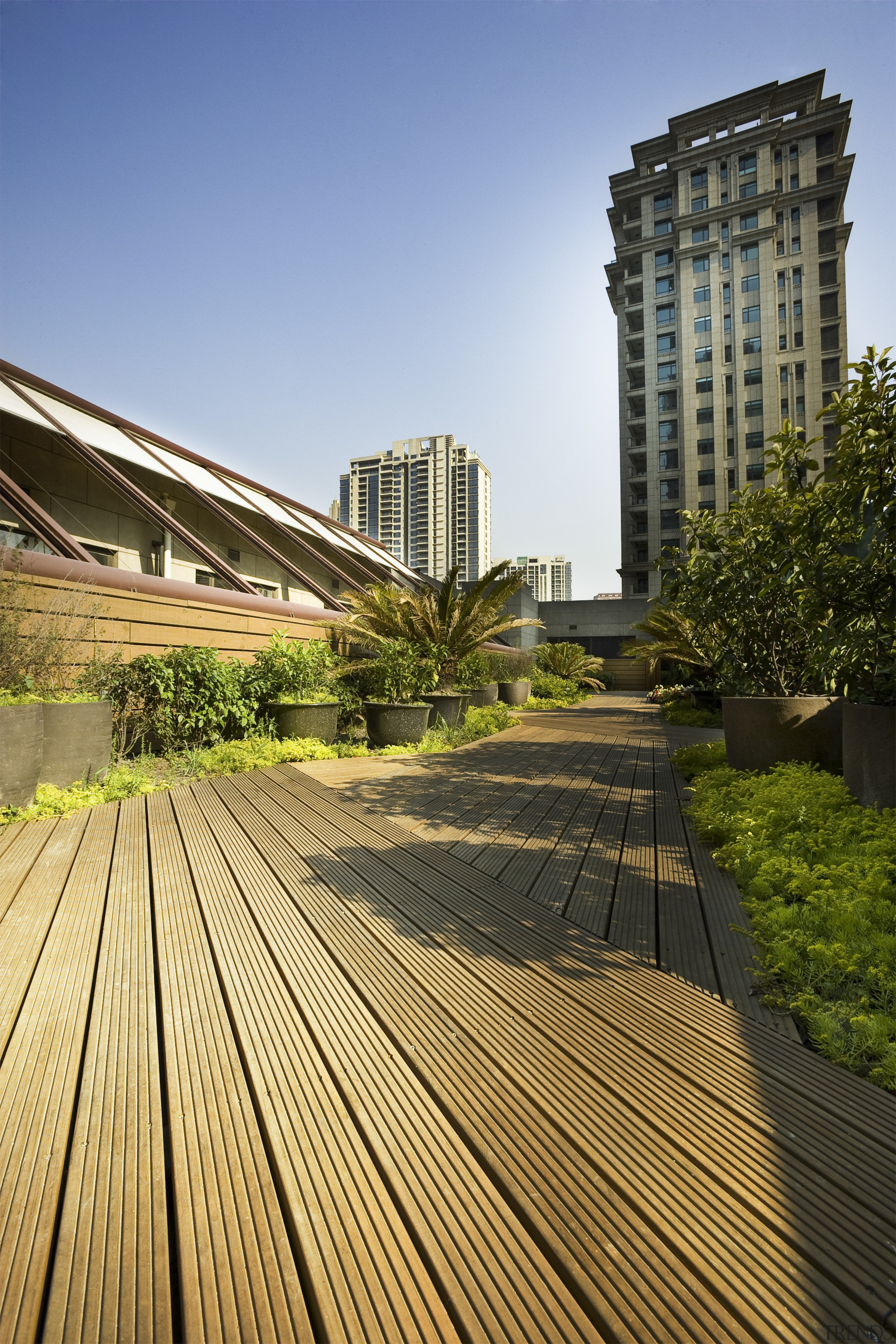 View of the roof terrace at NZ Central architecture, building, city, condominium, daytime, grass, landmark, line, metropolitan area, outdoor structure, real estate, residential area, roof, sky, skyscraper, sunlight, tree, urban area, walkway, wood, brown