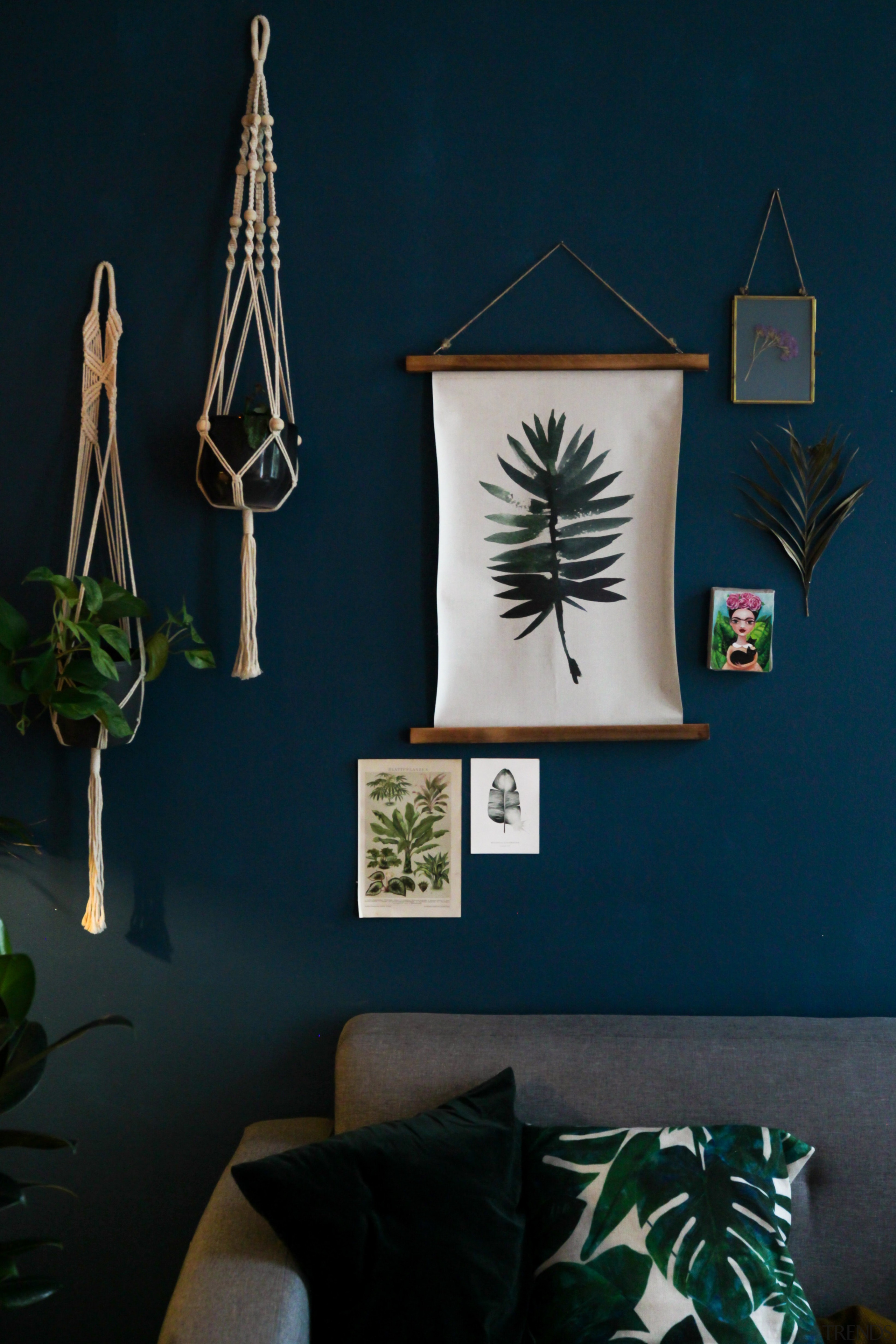 Living room with blue feature wall and hanging 