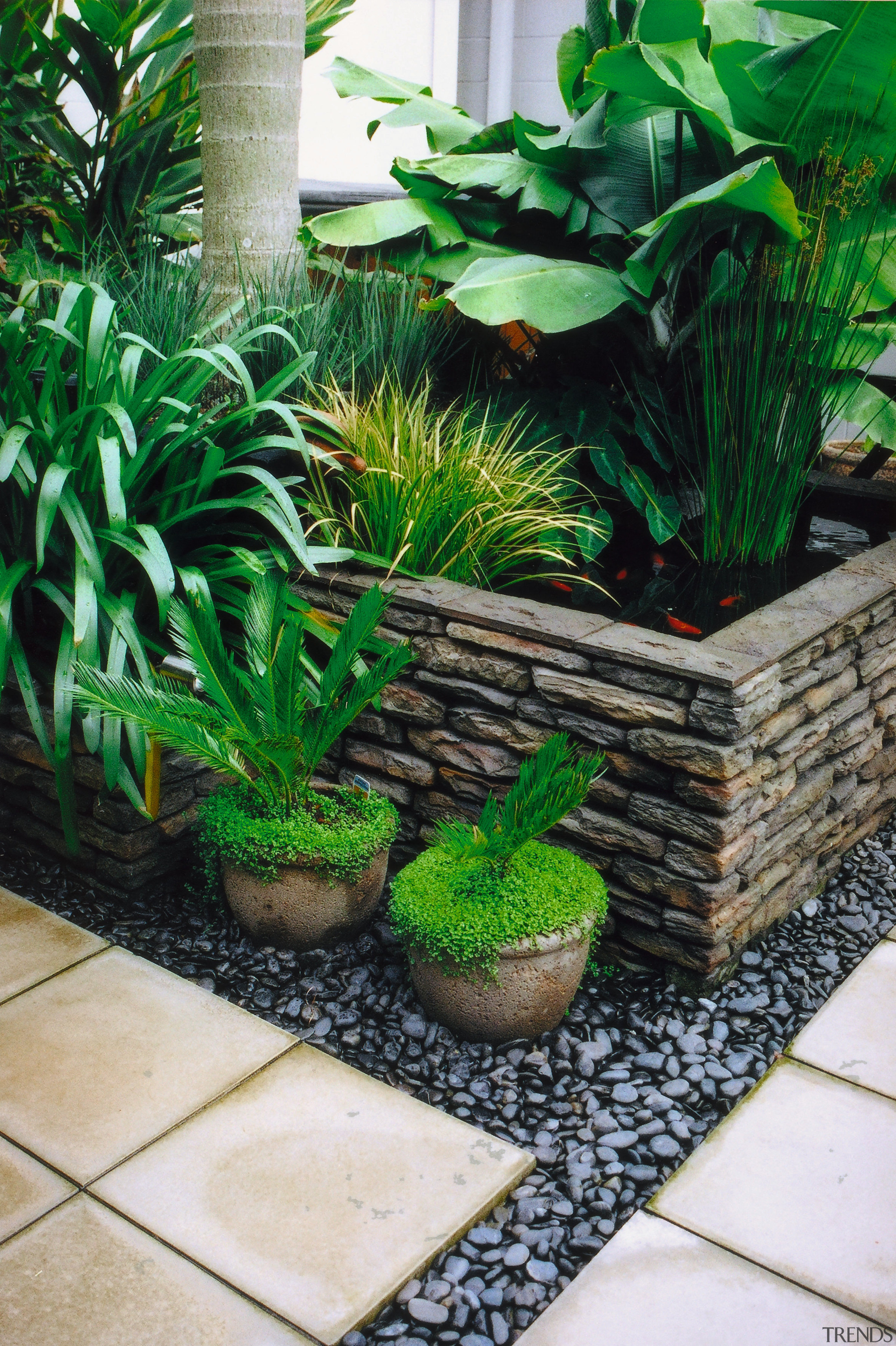 A view of this landascaped garden featuring moss arecales, flowerpot, garden, grass, houseplant, landscaping, plant, green, black