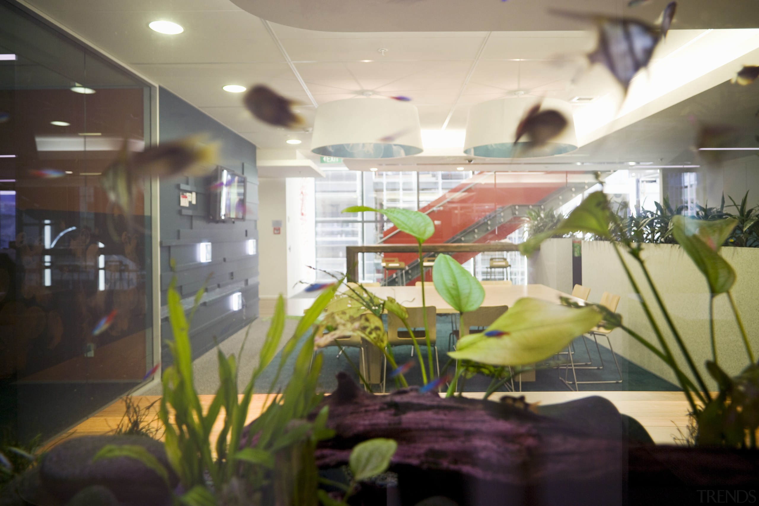 View of the Westpc offices seen through a ceiling, interior design, white, brown