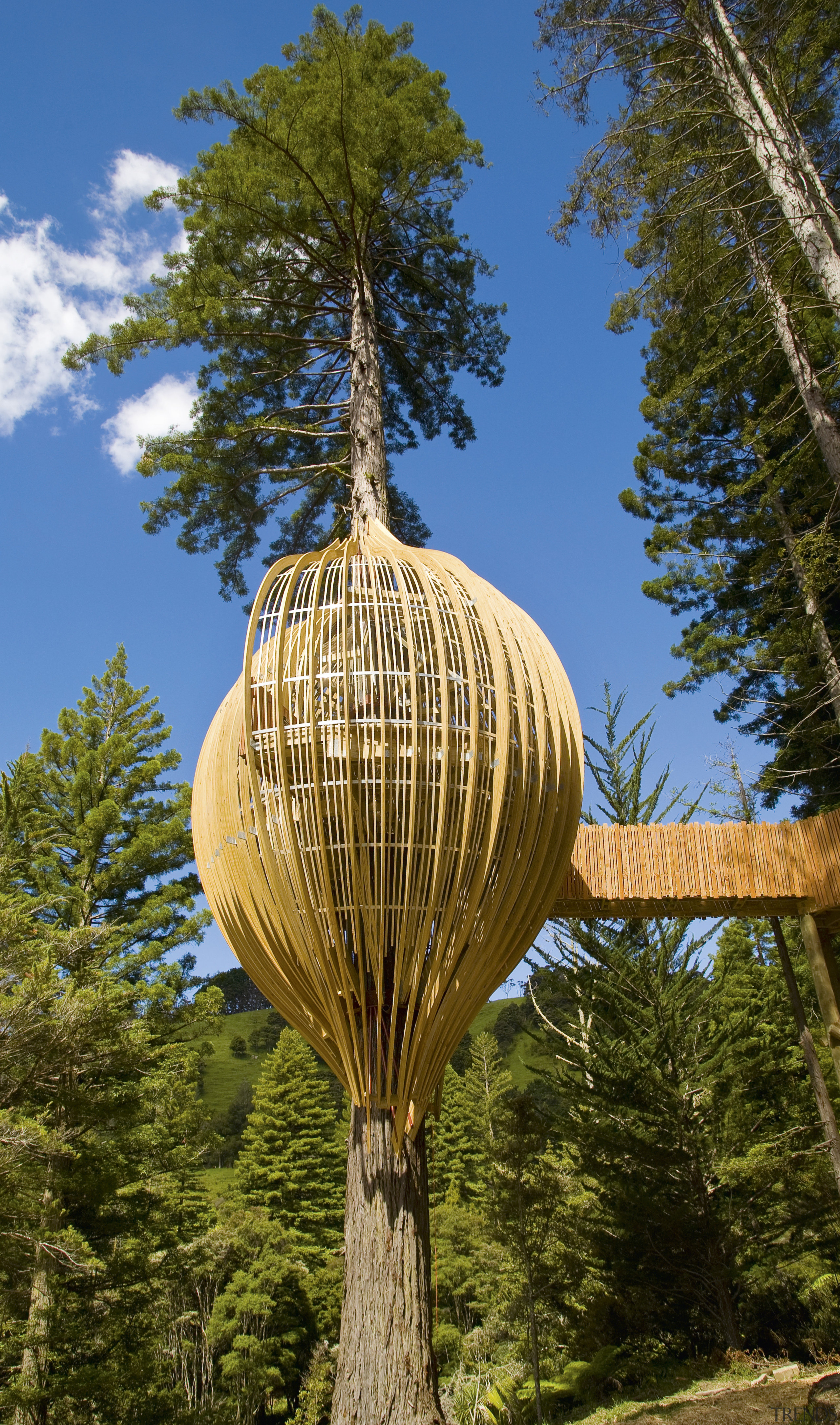 Image of the Yellow Treehouse restaurant which has arecales, biome, branch, outdoor structure, plant, sky, tree, brown