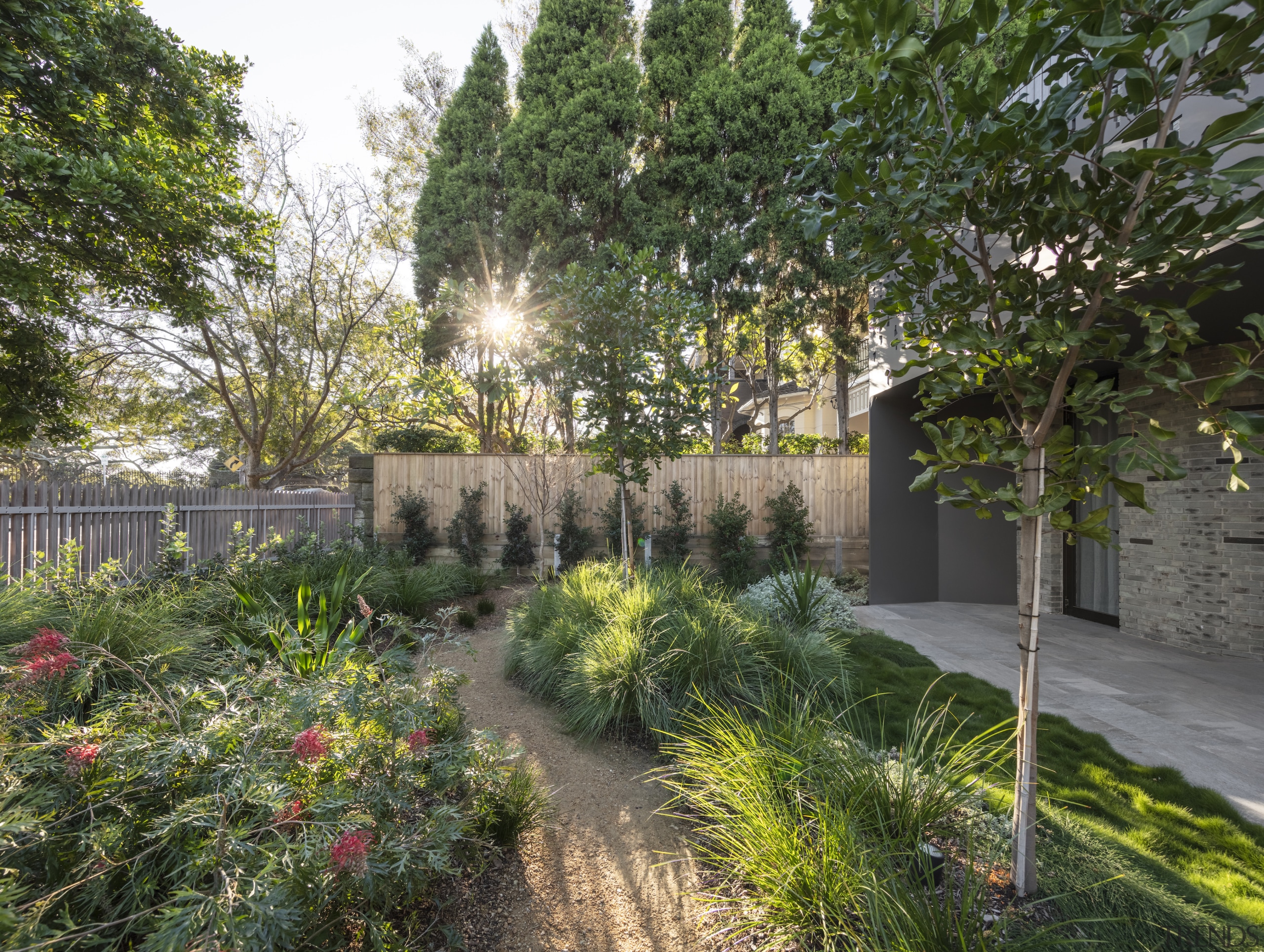 The decompose granite pathway meandering through the garden 