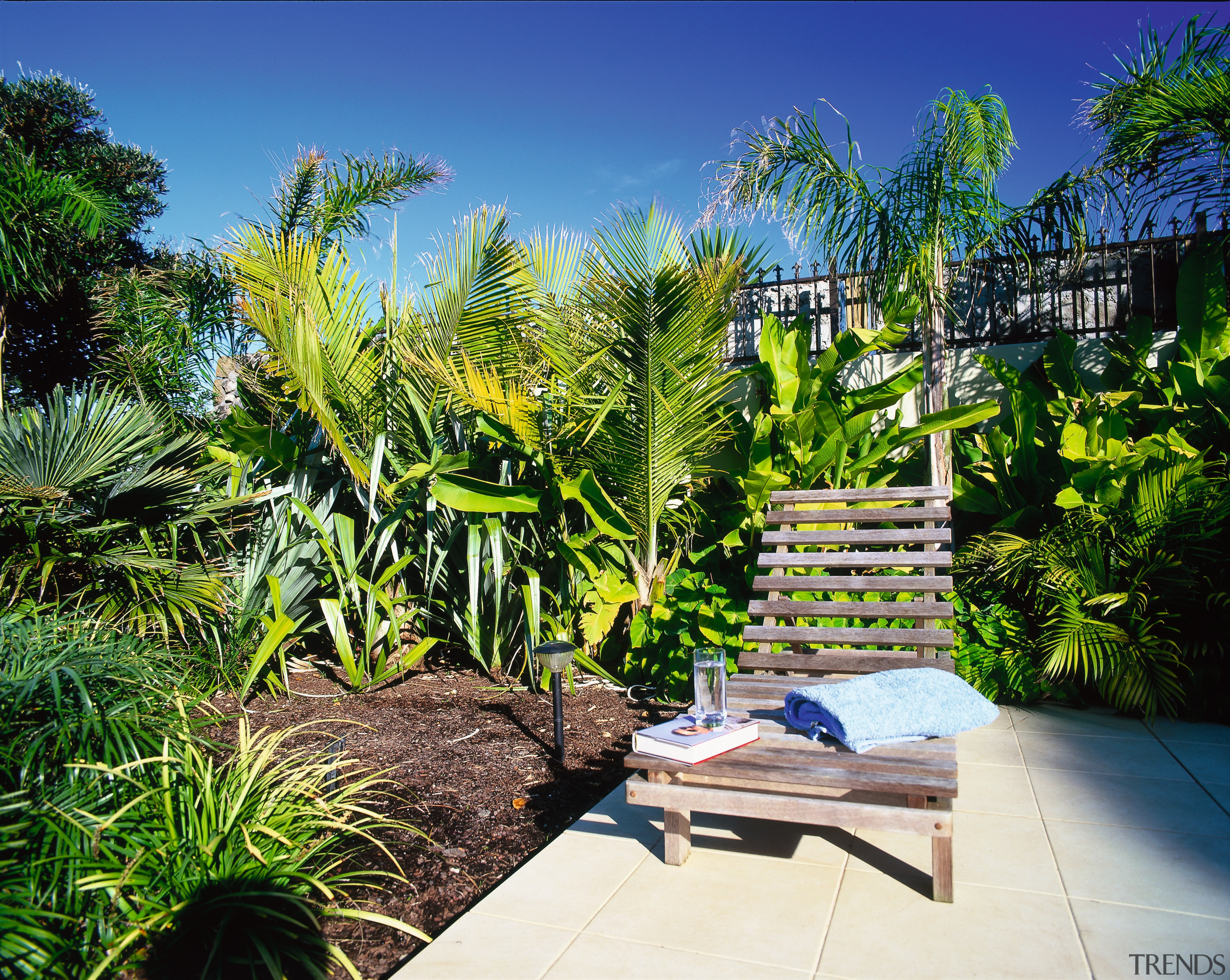 View of the outdoor living area - View arecales, backyard, botanical garden, estate, garden, grass, landscape, landscaping, majorelle blue, palm tree, plant, property, real estate, resort, tree, vegetation, yard, green