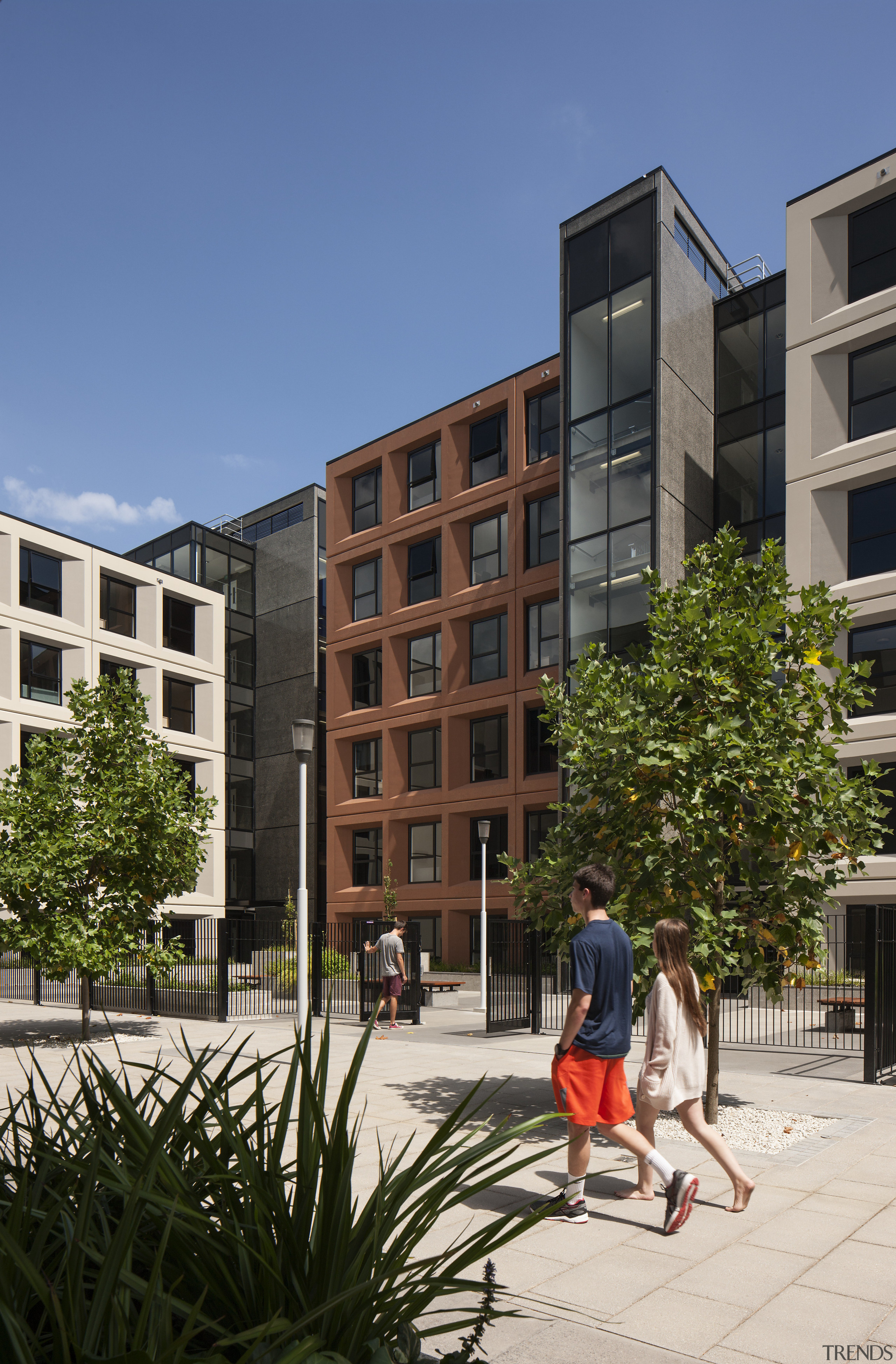 The Carlaw Park Student Village features colour-coded, glass apartment, architecture, building, campus, city, condominium, daytime, facade, home, house, mixed use, neighbourhood, real estate, residential area, sky, tower block, urban area, urban design