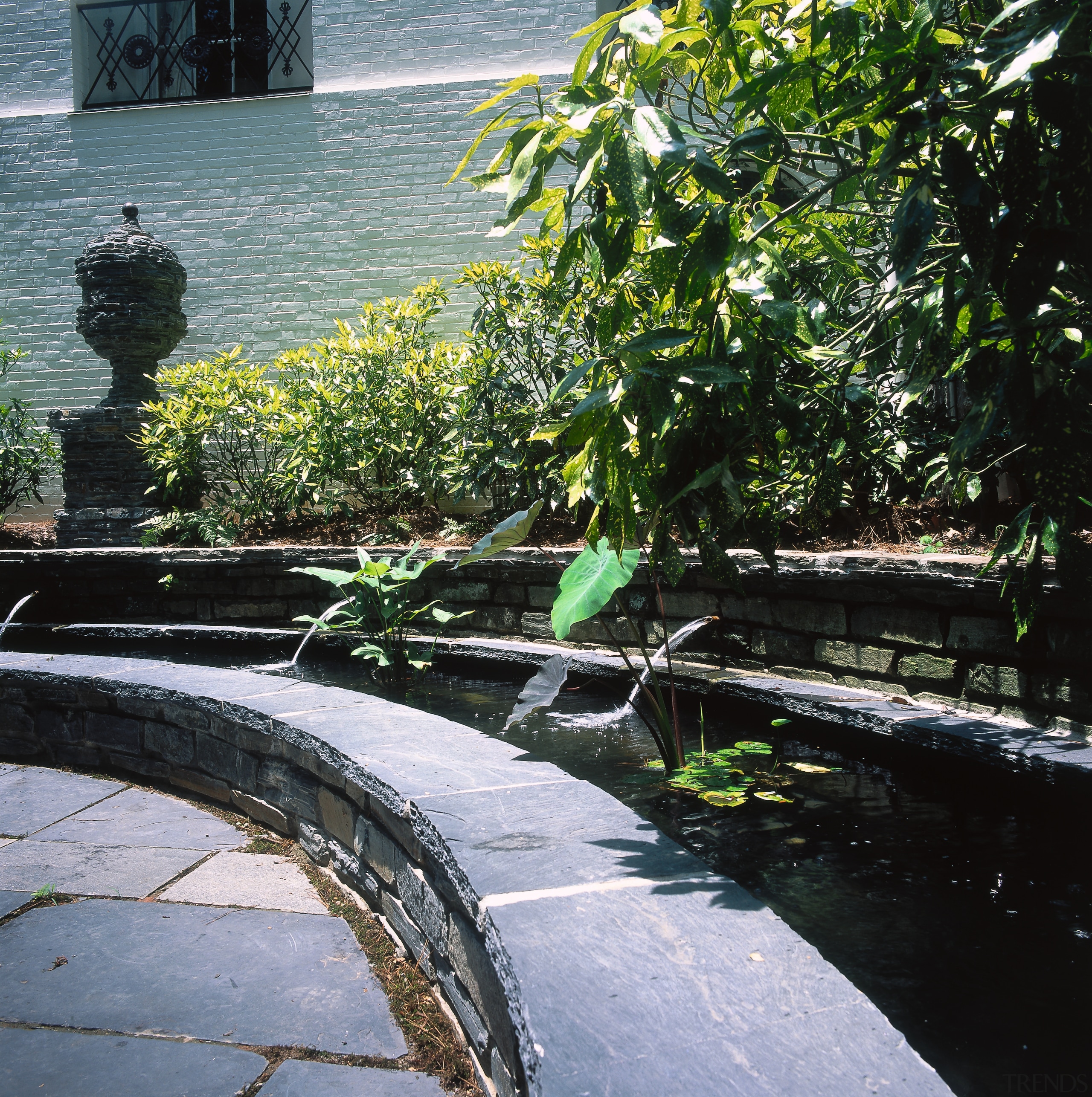 View of the water fountain, paved ground, plants, flora, garden, leaf, outdoor structure, plant, pond, reflection, tree, walkway, water, water feature, watercourse, black, gray