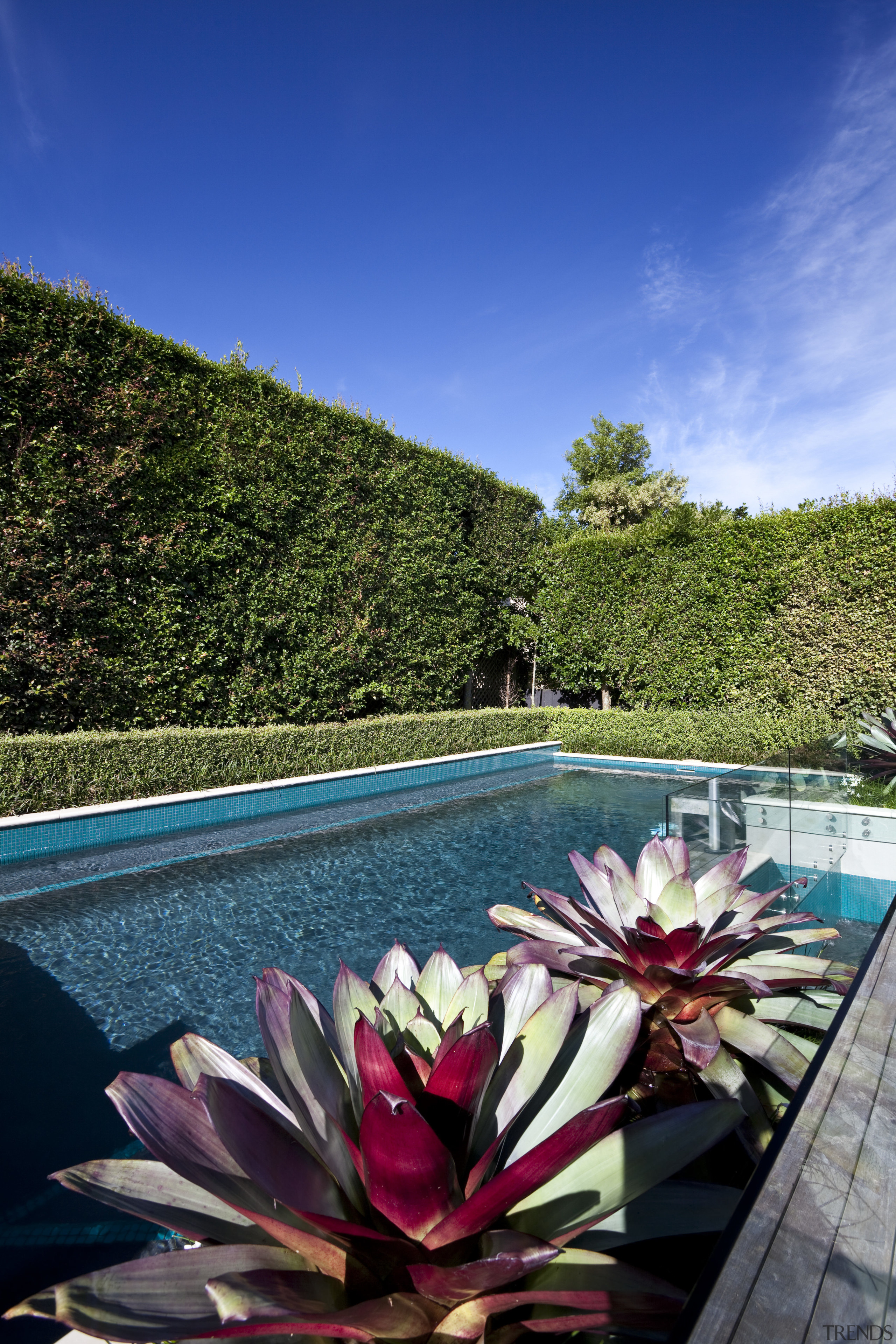 The rear yard of this home has been flora, flower, garden, landscape, leaf, leisure, mountain, nature, plant, reflection, sky, spring, swimming pool, tree, vacation, water