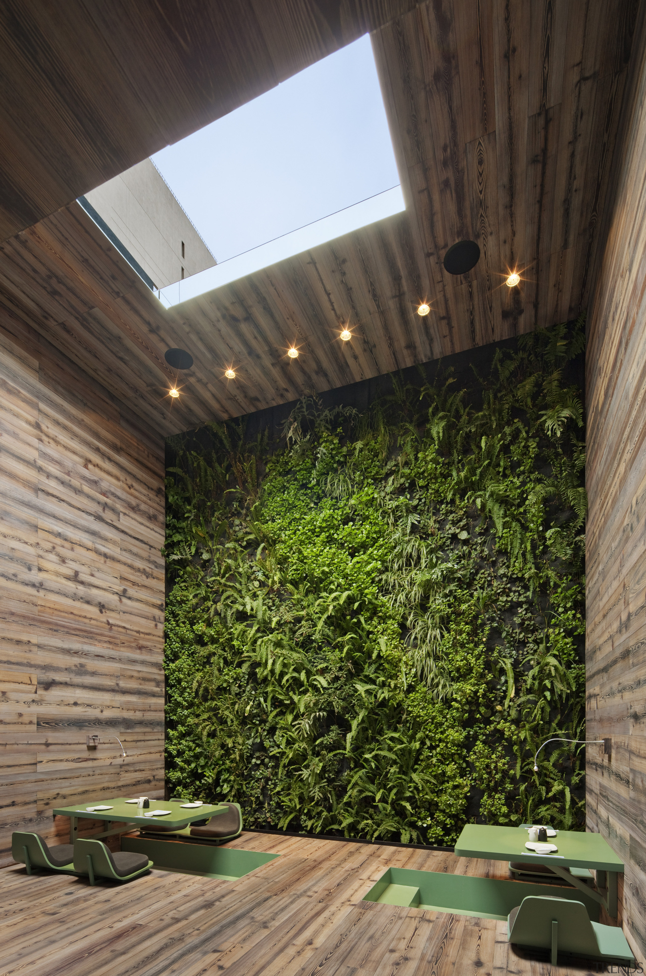 View of feature wall with plants, green tables architecture, ceiling, courtyard, daylighting, home, house, interior design, lighting, roof, wall, wood, brown, black