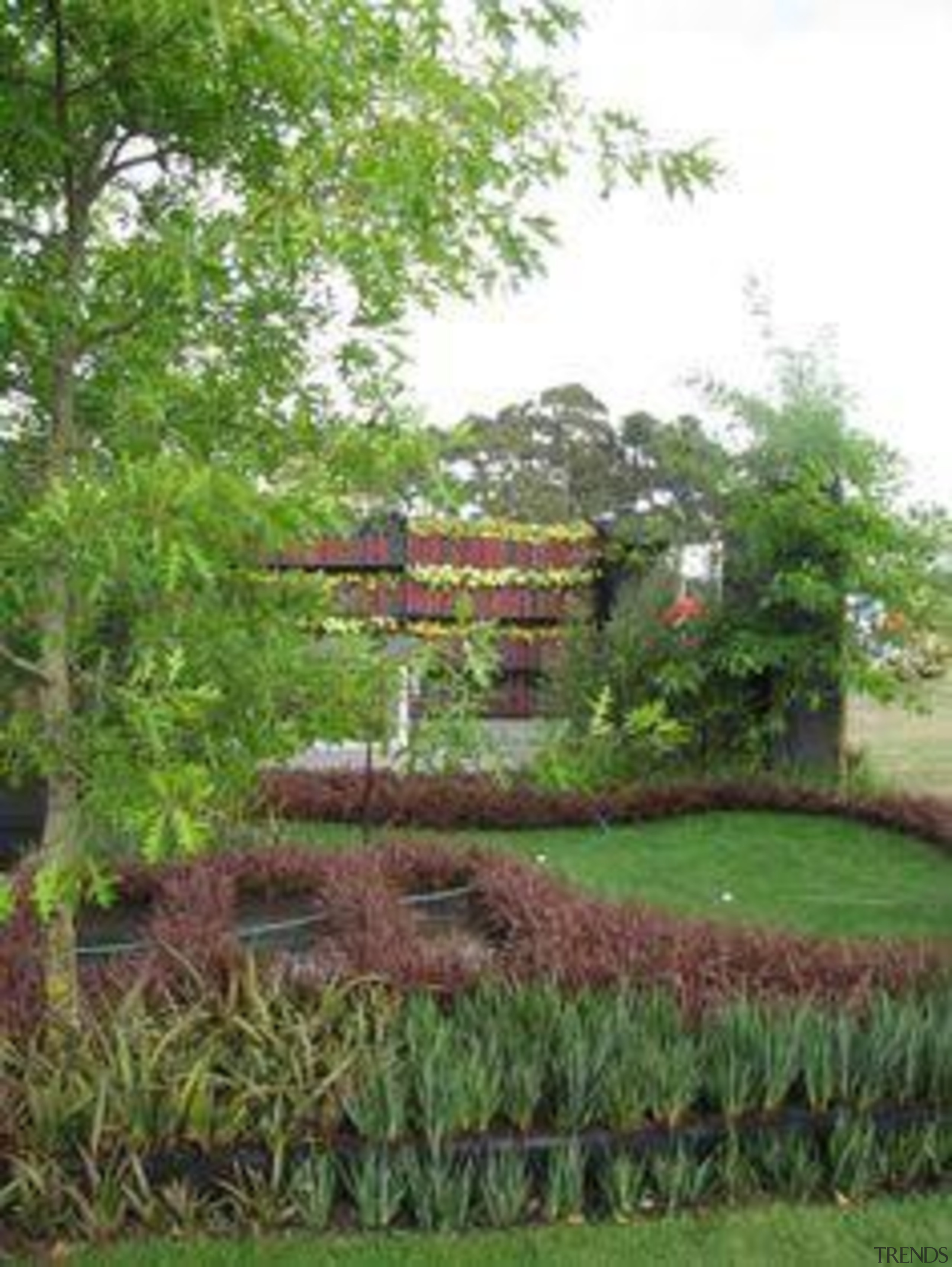 At Ellerslie International Flower Show - At Ellerslie botanical garden, garden, grass, grass family, land lot, landscape, landscaping, lawn, nature reserve, plant, shrub, tree, vegetation, yard, green