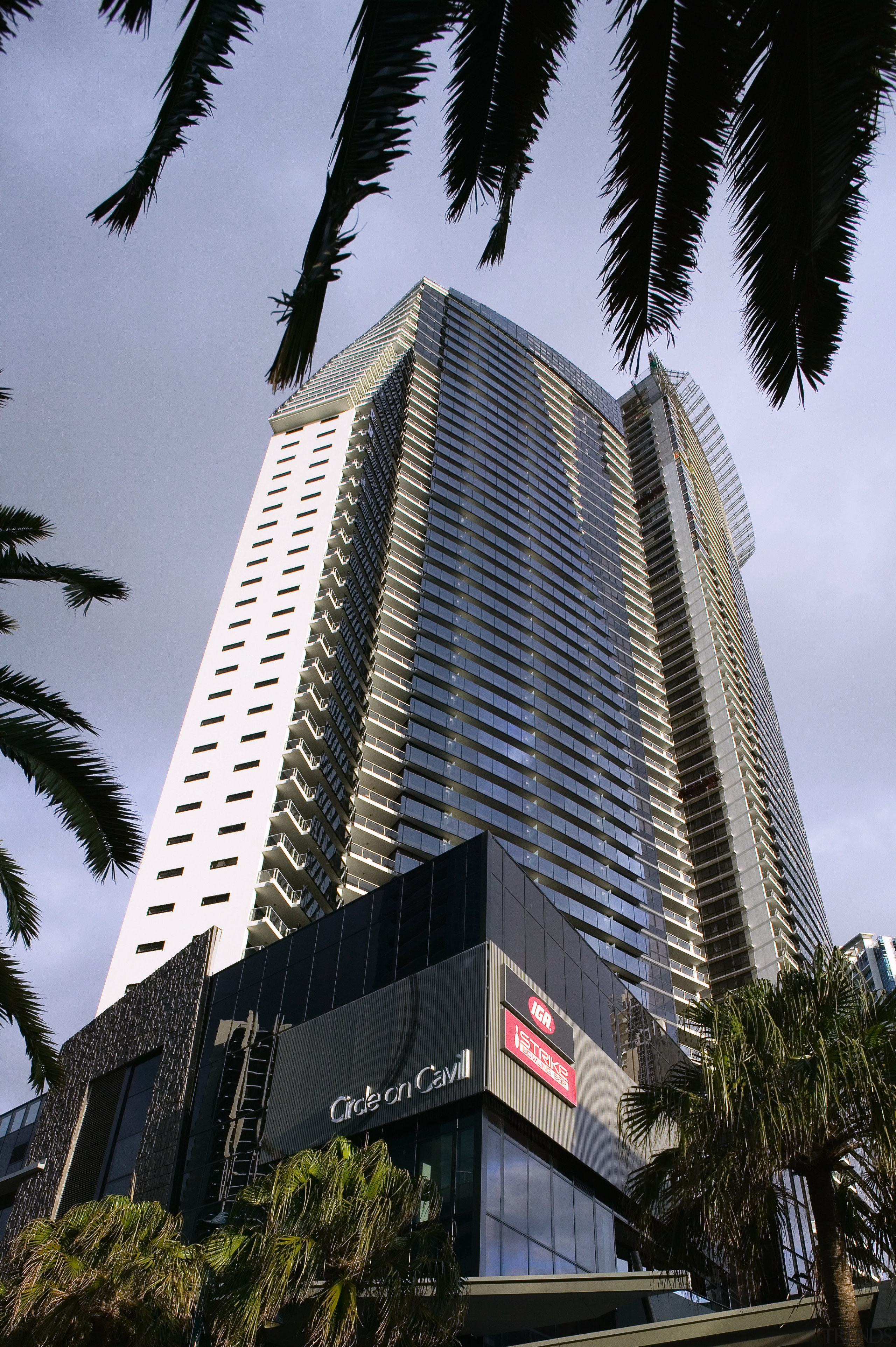 Exterior view of the circle on cavill aprtment architecture, arecales, building, city, commercial building, condominium, corporate headquarters, daytime, facade, headquarters, hotel, landmark, metropolis, metropolitan area, mixed use, palm tree, sky, skyscraper, tower, tower block, tree, urban area, black, teal