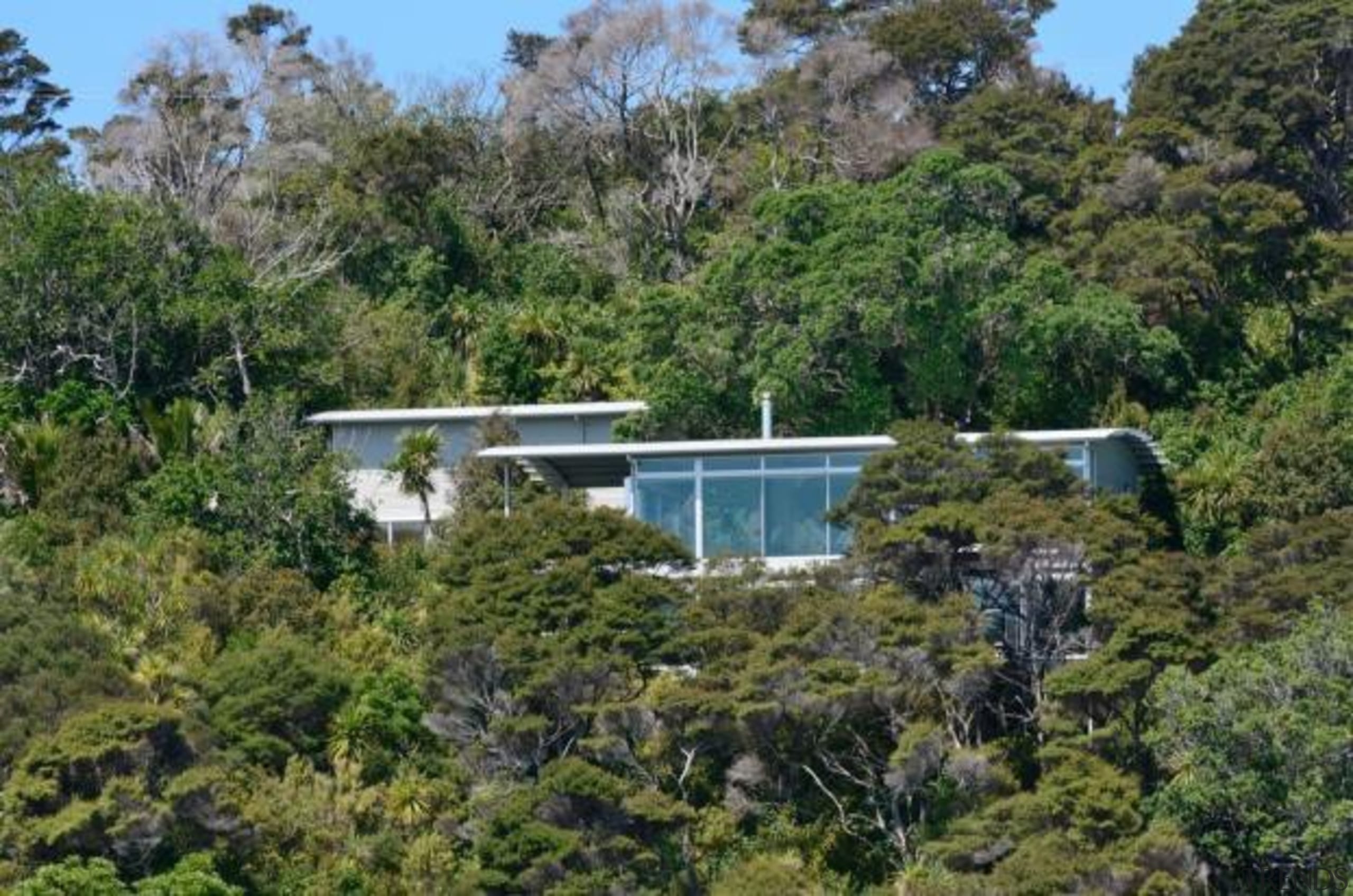 Mahurangi Steel House, Auckland, New ZealandKamermans biome, house, nature reserve, plant, plant community, property, real estate, tree, vegetation, brown