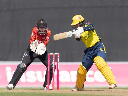Hampshire loss