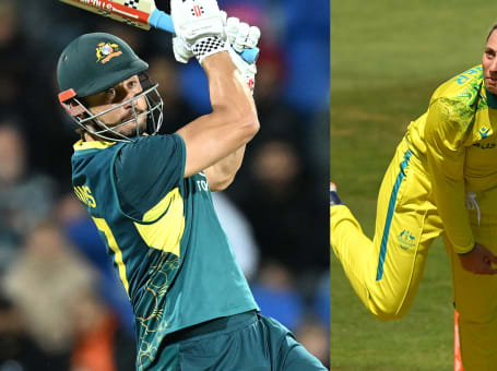 Stoinis Gardner
