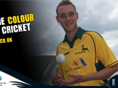 Put Some Colour In Your Cricket