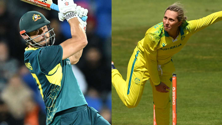 Stoinis Gardner