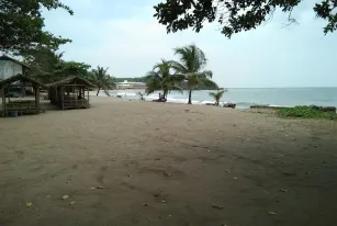 Cagar Alam Rawa Danau Wisata Serang Banten