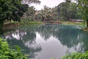 Cagar Alam Rawa Danau Wisata Serang Banten