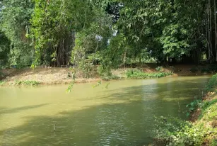 Wisata Pantai Pailus Wisata Jawa Tengah