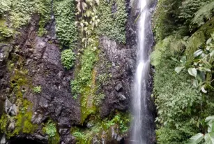 Wisata Air Terjun Dlundung Wisata Jawa Timur