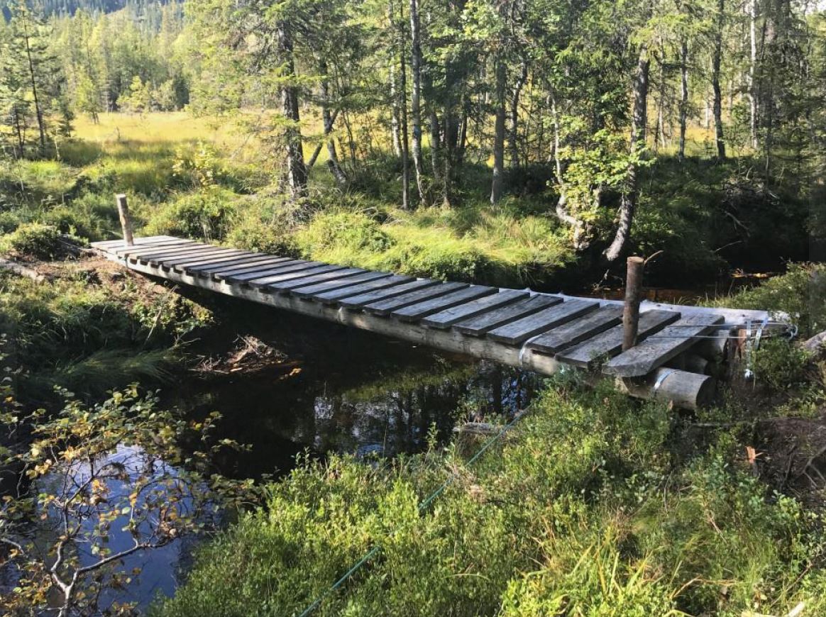 Dugnad Vikerfjell Elsrud/Skarrud