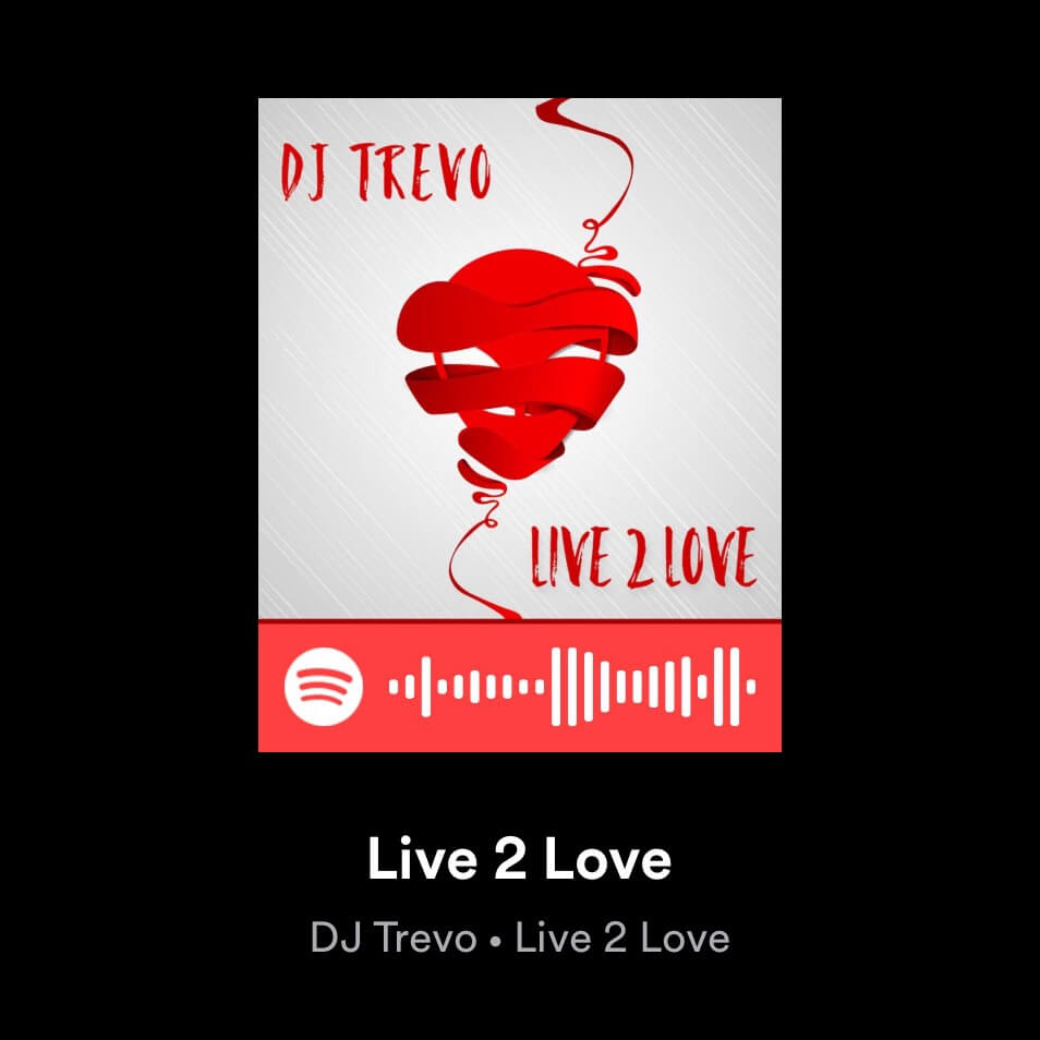 dj trevo - live to love