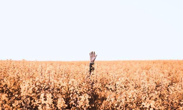 Do you want to collaborate?