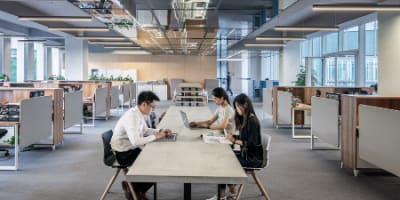 Statut de la SASU : tout savoir sur cette forme juridique