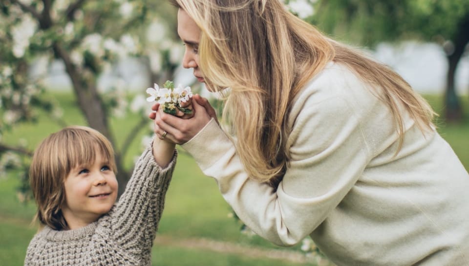 Créer une SCI avec un mineur : les règles à savoir