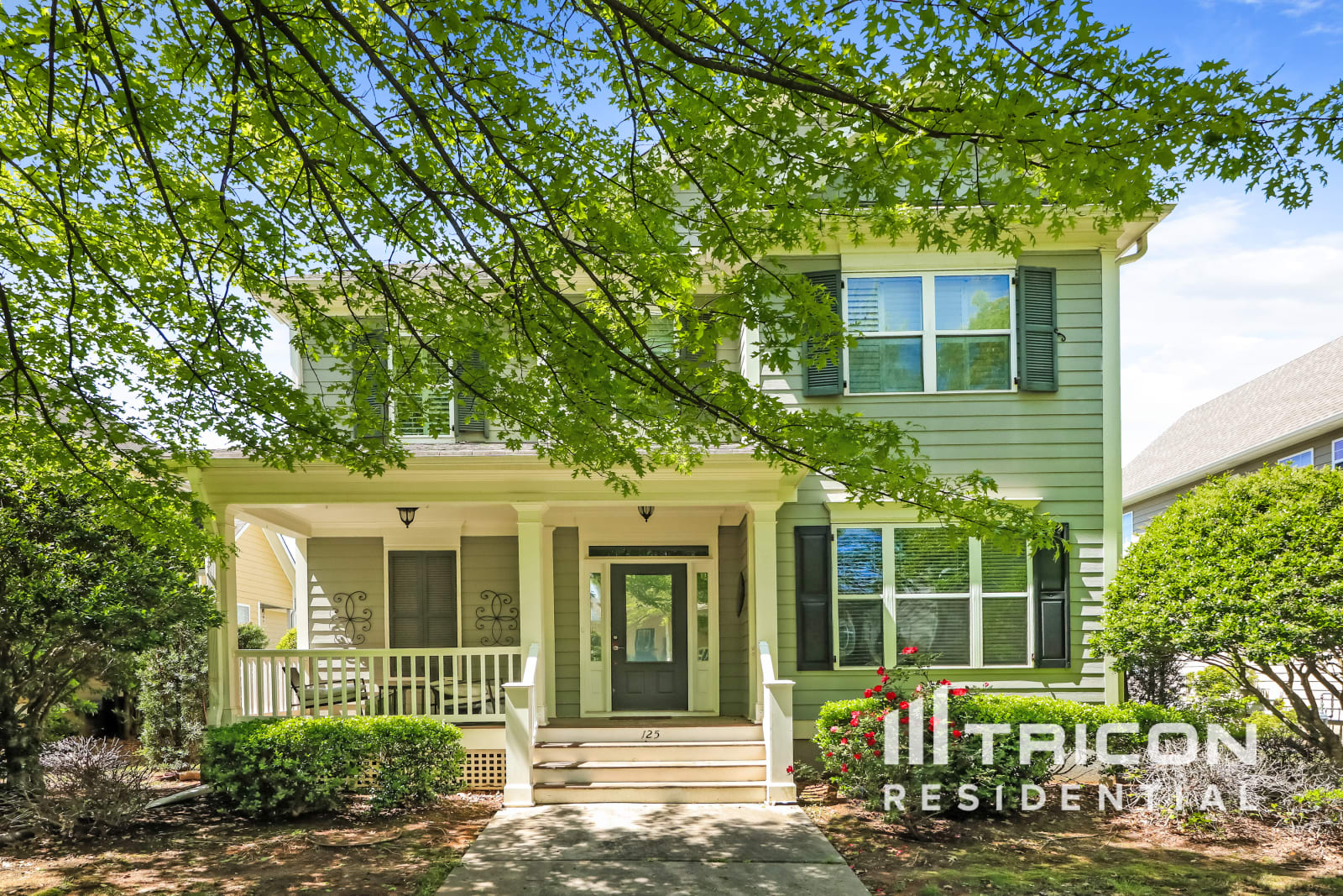 125 Clandon Park Terrace Fayetteville GA