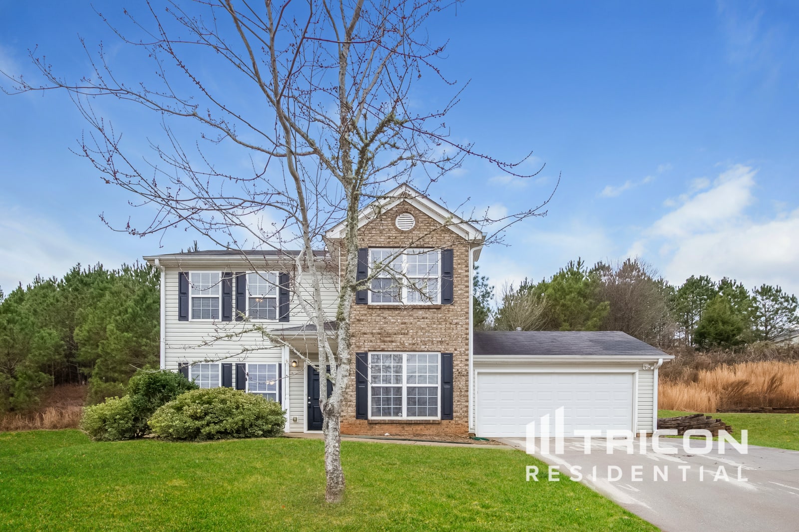 4247 Gray Raptor Court Snellville GA