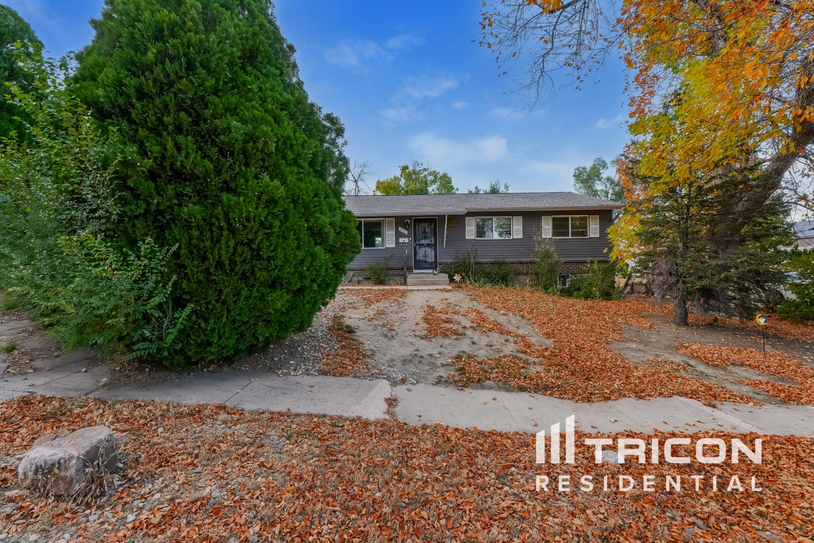 1312 Rainier Drive Colorado Springs CO