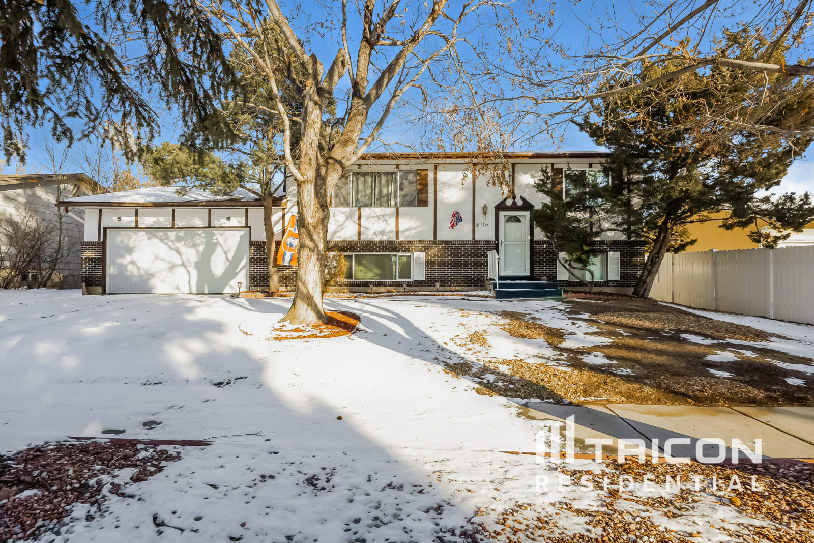 1317 Doyle Place Colorado Springs CO