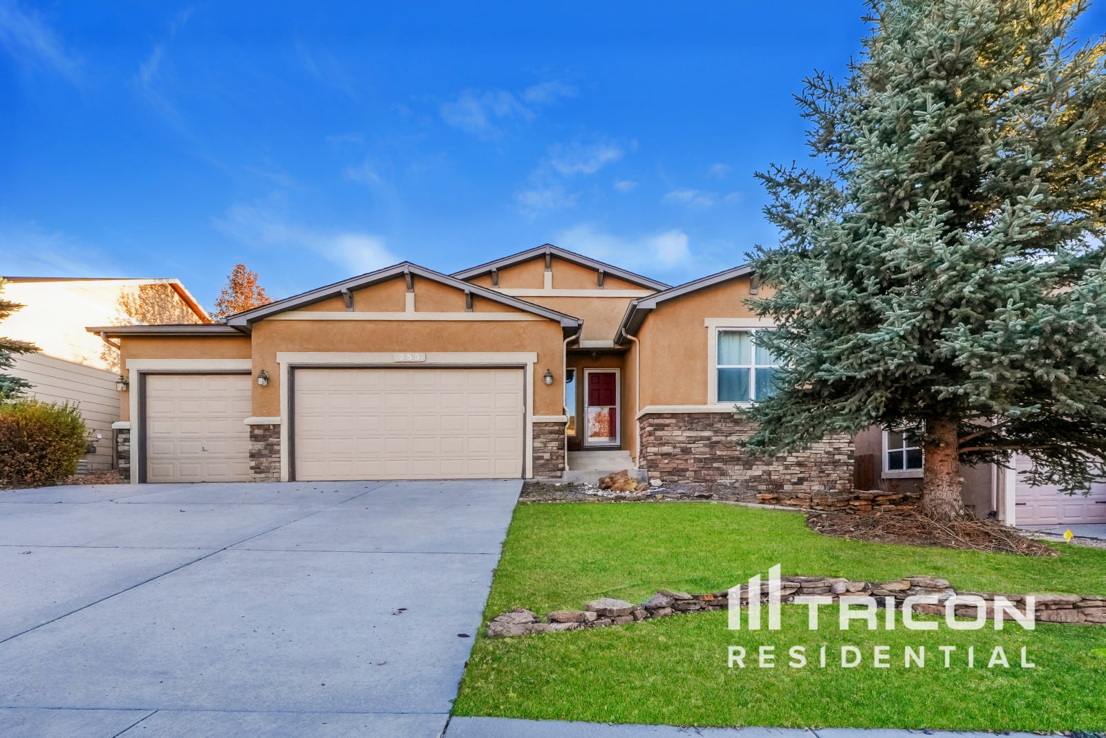 253 All Sky Drive Colorado Springs CO