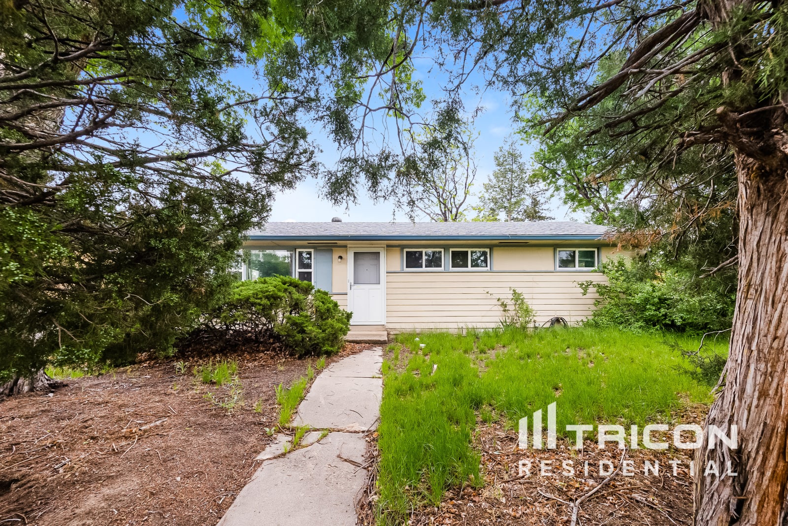 2627 Robin Drive Colorado Springs CO