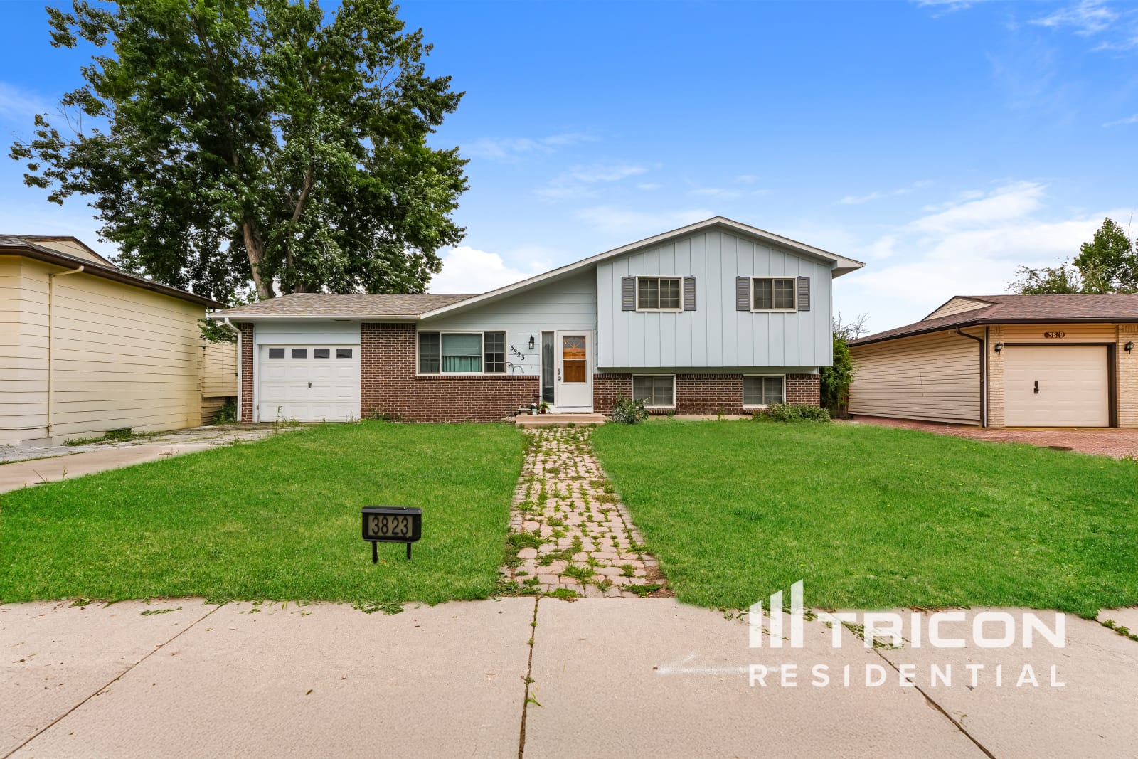 3823 Mesa Grande Drive Colorado Springs CO
