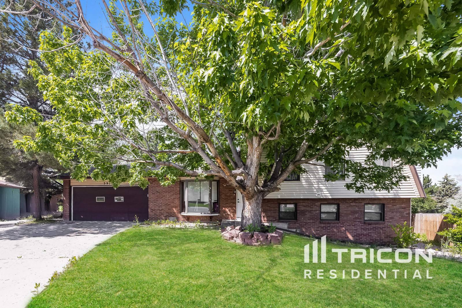 3915 S Ruskin Place Colorado Springs CO