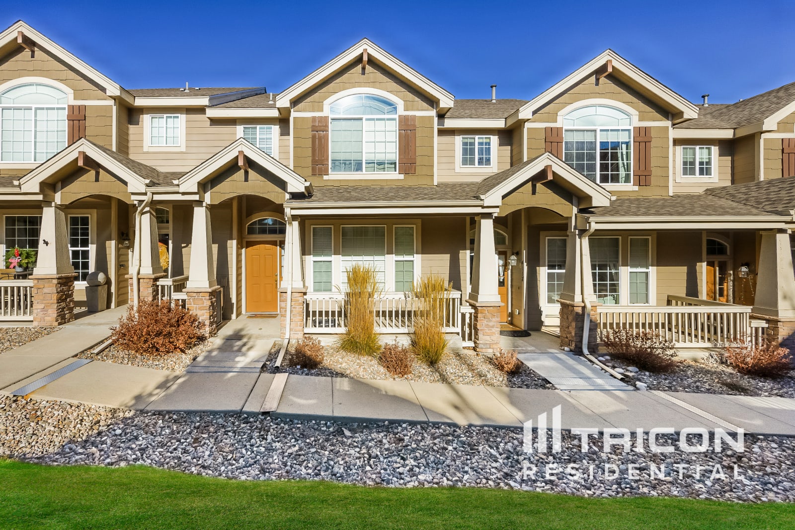 4113 Hogback Point Colorado Springs CO