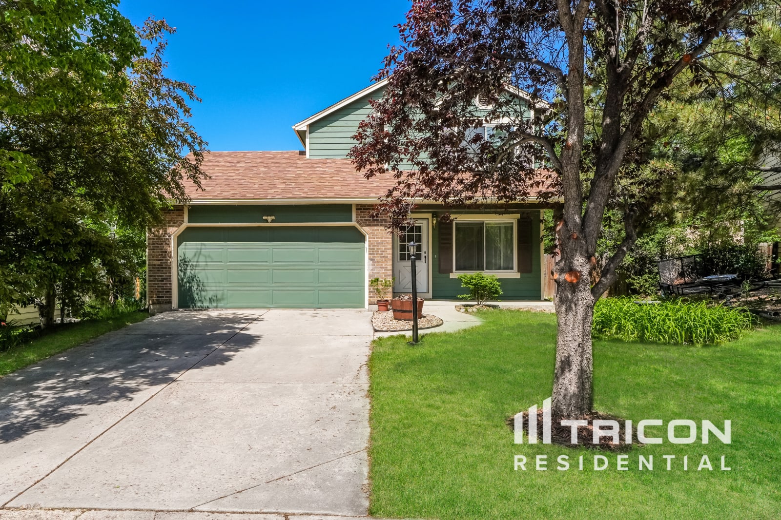5155 Purcell Dr Colorado Springs CO