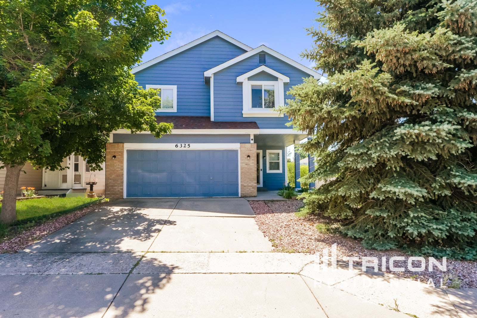 6325 Blazing Star Drive Colorado Springs CO