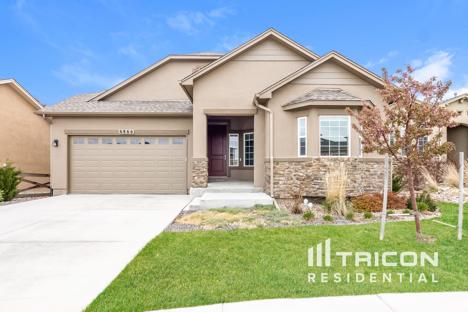 6866 Sedgerock Lane Colorado Springs CO