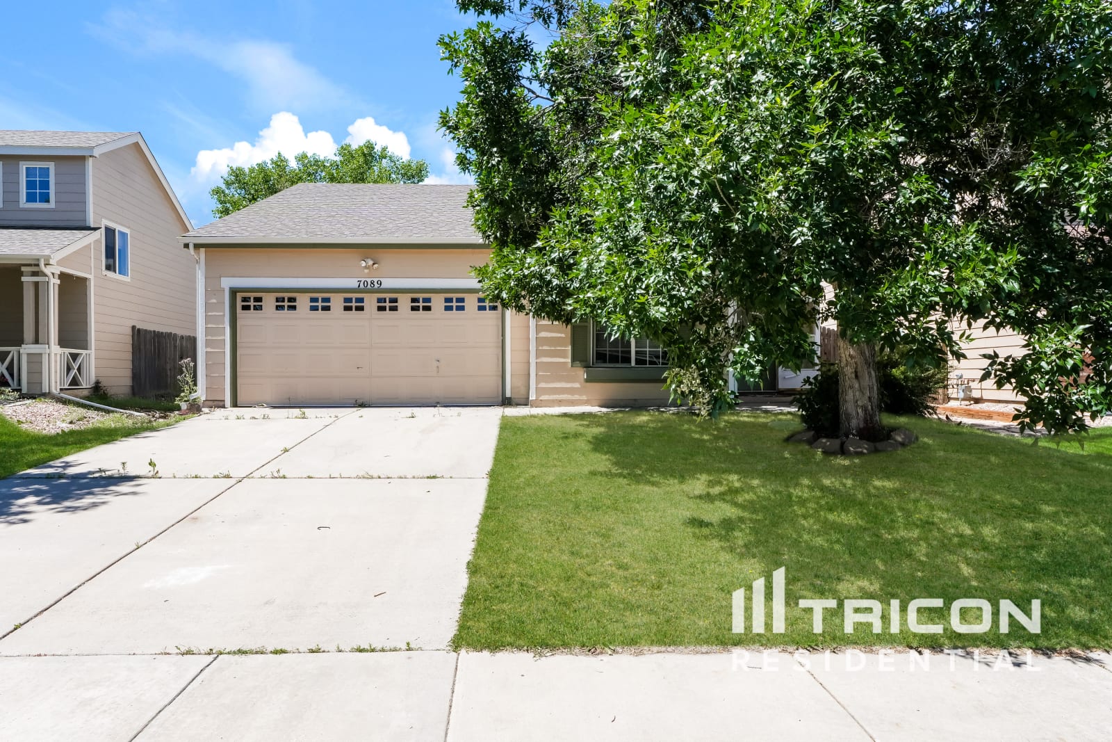 7089 Cattle Dr Colorado Springs CO