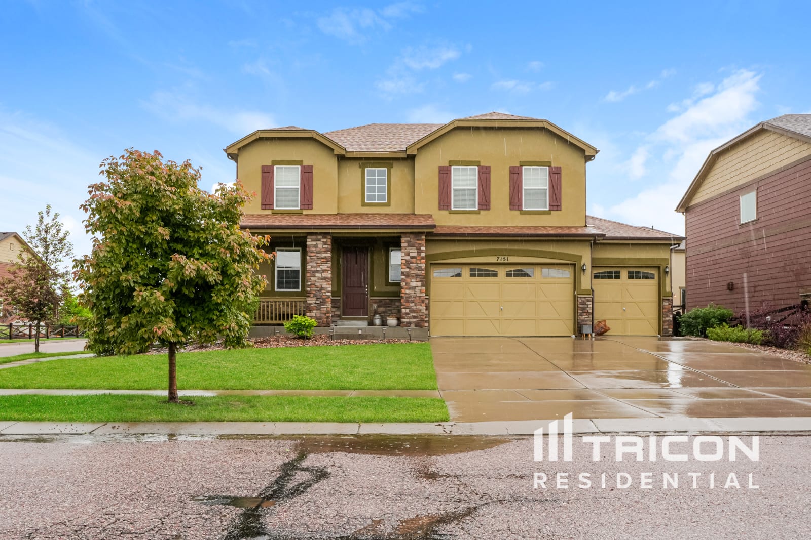 7151 Mountain Spruce Dr Colorado Springs CO