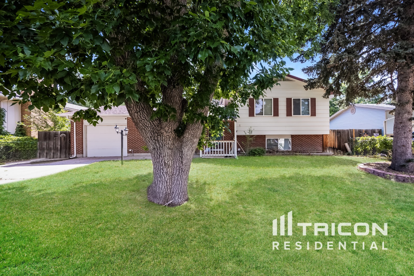 7365 Herbert Ct Colorado Springs CO
