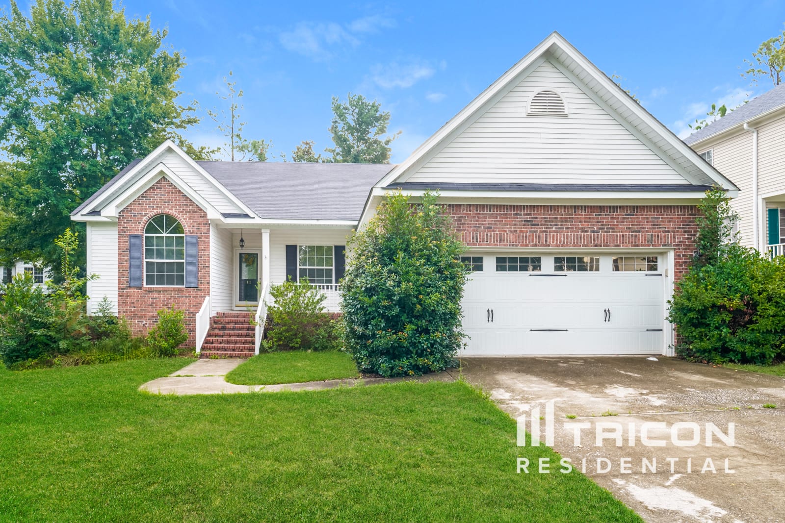 12 Red Cedar Columbia SC