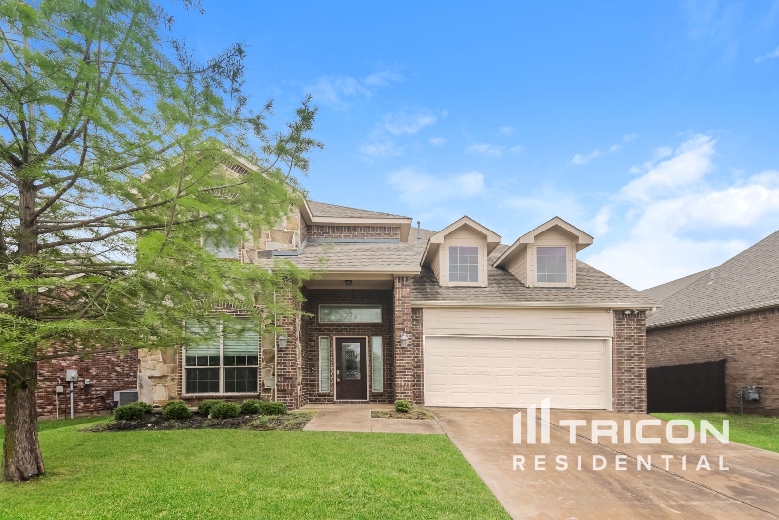 10009 Petrified Tree Lane McKinney TX