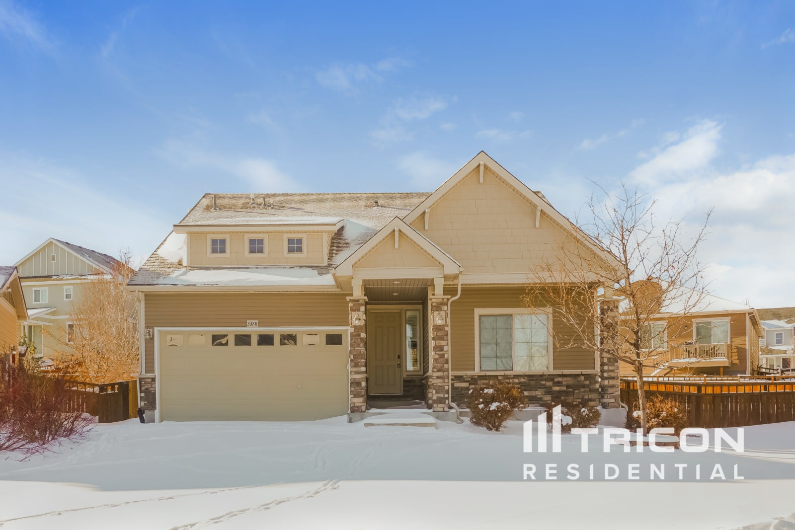 3328 Starry Night Loop Castle Rock CO